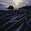 La Push WA, 1999